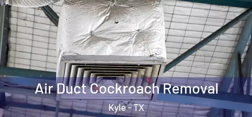  Air Duct Cockroach Removal Kyle - TX