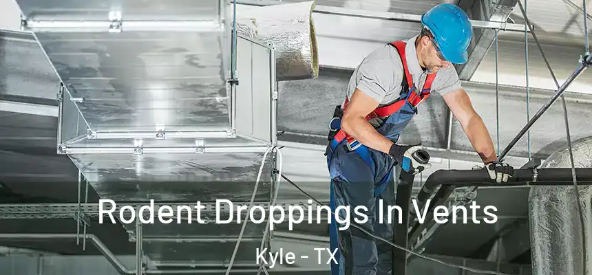  Rodent Droppings In Vents Kyle - TX