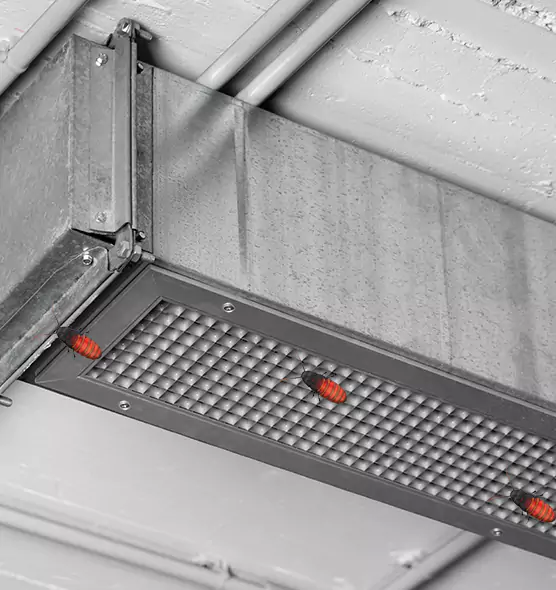 About Air Duct Cockroach Removal in Kyle, TX