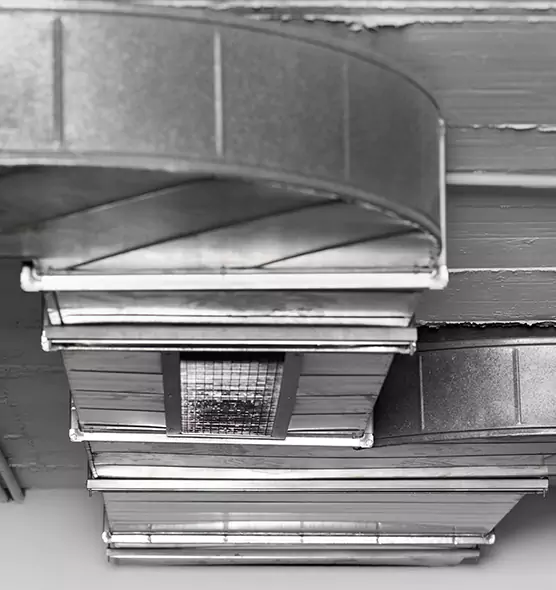 Professional Air Duct Pest Removal in Kyle, TX