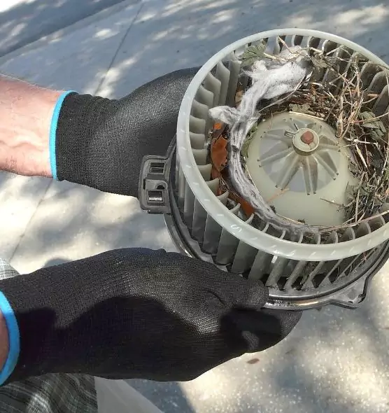 About Air Duct Rat Removal in Kyle, TX