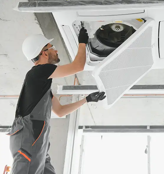 About Air Duct Rodent Removal in Kyle, TX