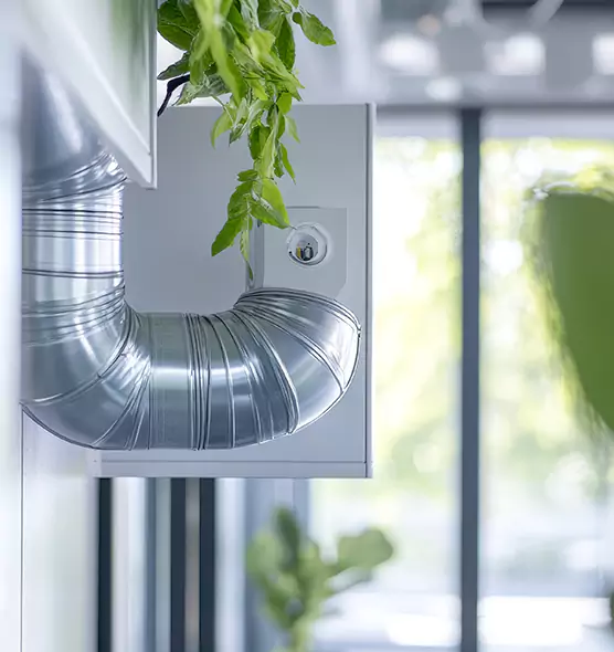 Professional Eco-Safe Dryer Vent Cleaning in Kyle, TX