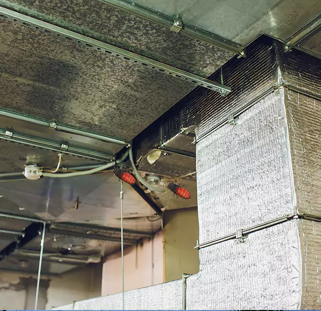 Why Homeowners & Businesses Trust Us Kyle, TX?