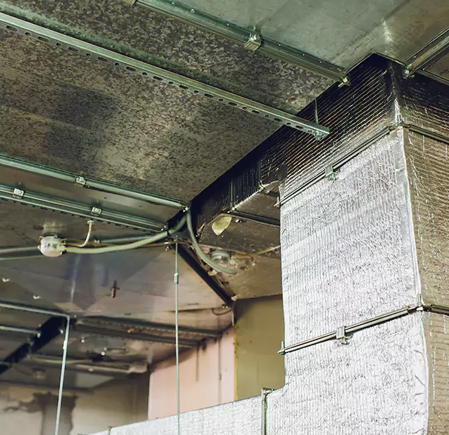 Why Homeowners & Businesses Trust Us in Kyle, TX?