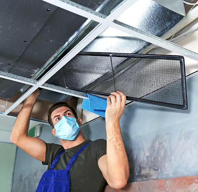 Why Homeowners & Businesses Trust Us in Kyle, TX?